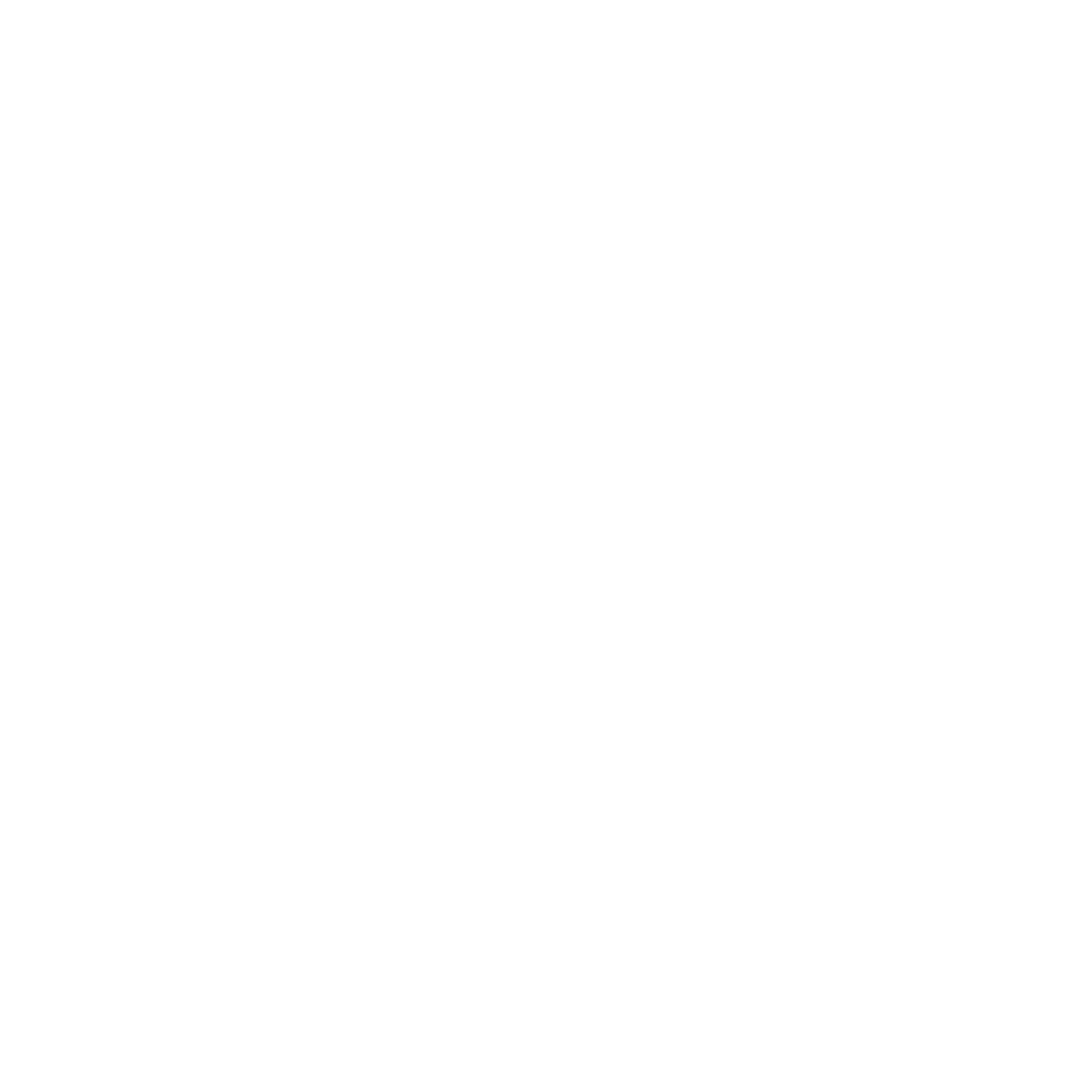 bonvini-travel-planner-logo-blanc-png