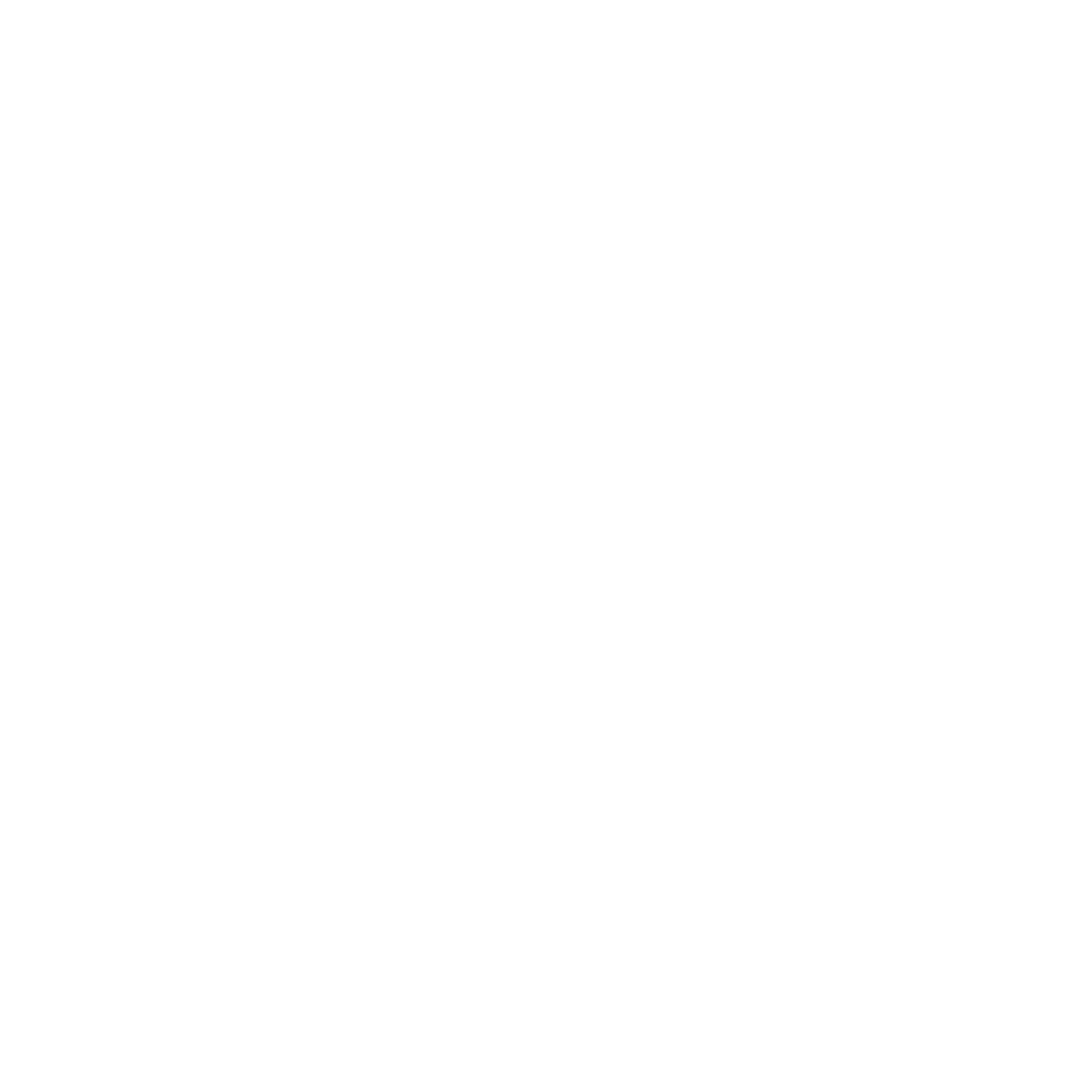 BONVINI-LOGO-BLANC bonvini-travel-planner-logo-blanc-png
